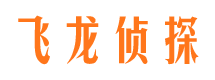 两当侦探公司